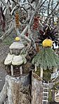 IMG_0976