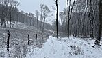 IMG_1010