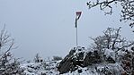 IMG_1012