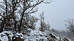 IMG_1014