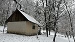 IMG_1015