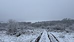IMG_1016