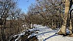 IMG_1034