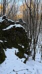 IMG_1041
