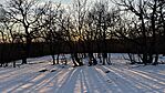 IMG_1045