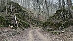 IMG_1072