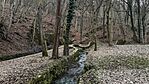 IMG_1078