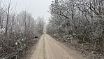 IMG_1150