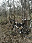 IMG_20241210_132145