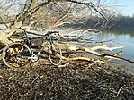 IMG_20241227_111317