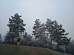 IMG_20241230_103317591