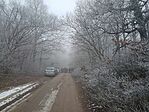 IMG_20241230_110118632_HDR