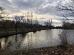 IMG_5553