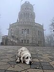 IMG_0078