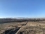 IMG_8419