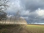 IMG_8201