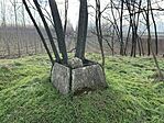 IMG_8204