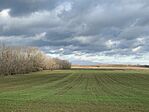IMG_8203