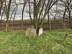 IMG_8205