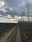 IMG_8209