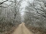 IMG_8491
