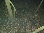 IMG_20241228_170540