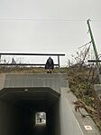 IMG_4849