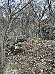 IMG_4983