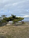 IMG_4980