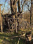 IMG_5035