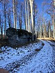 IMG_5077