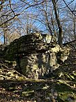 IMG_5078