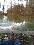 DSC00769