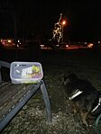 IMG_20241218_171702_651