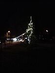 IMG_20241218_171505_647