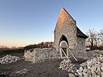 IMG_6124