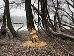 IMG_6027