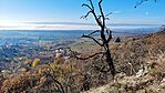 IMG_20241202_113617
