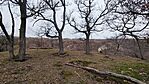 IMG_20241217_102700
