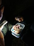 IMG_20241205_222219