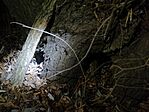IMG_20241205_221832