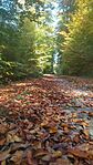 IMG_20241023_112028