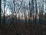 20241207_145955[1]