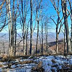 20241201_103941
