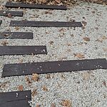 20241129_112928