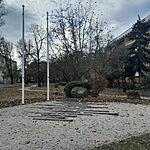 20241129_113113
