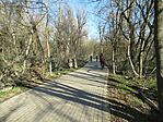 IMG_4700