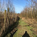 IMG_9791