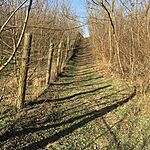 IMG_9792