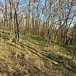 IMG_9794